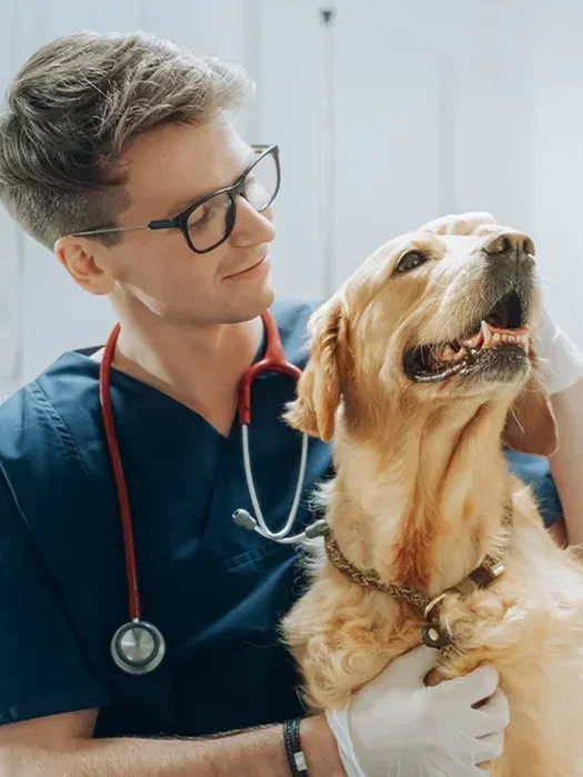 Cabinet vétérinaire Dufour